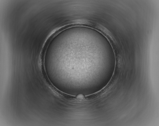 X0000110741024200906221024
