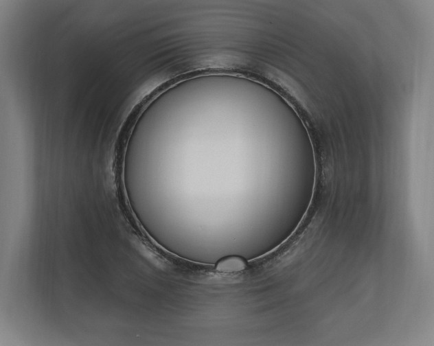 X0000110741026200906221024