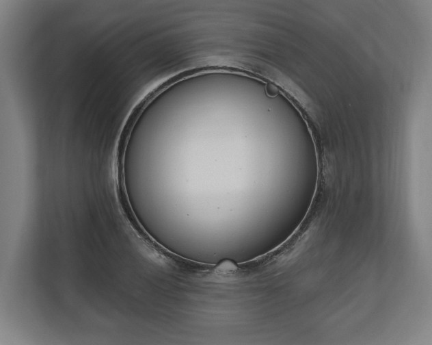 X0000110741028200906221024