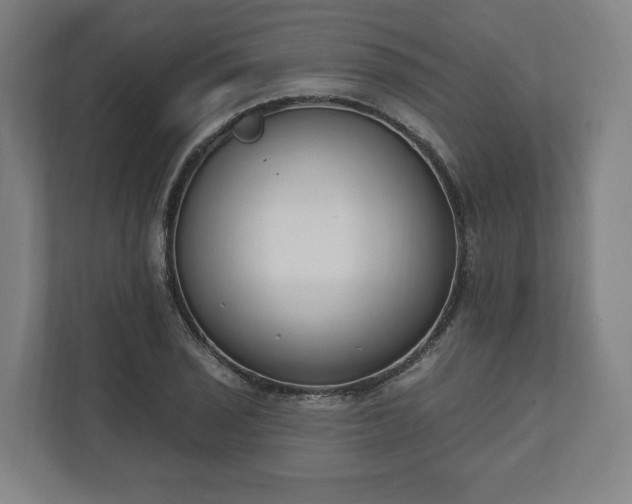X0000110741029200906221024