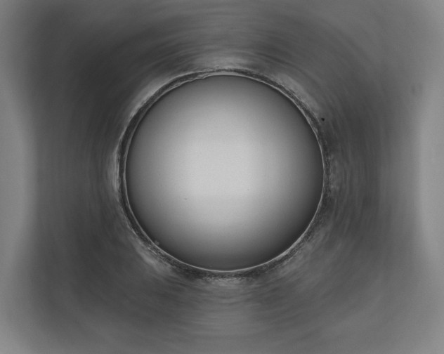 X0000110741031200906221024