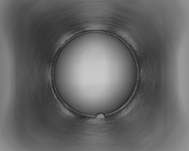X0000110741033200906221024