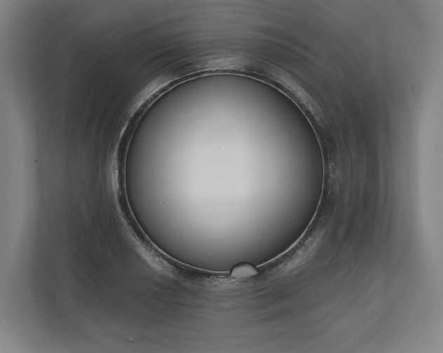 X0000110741034200906221024