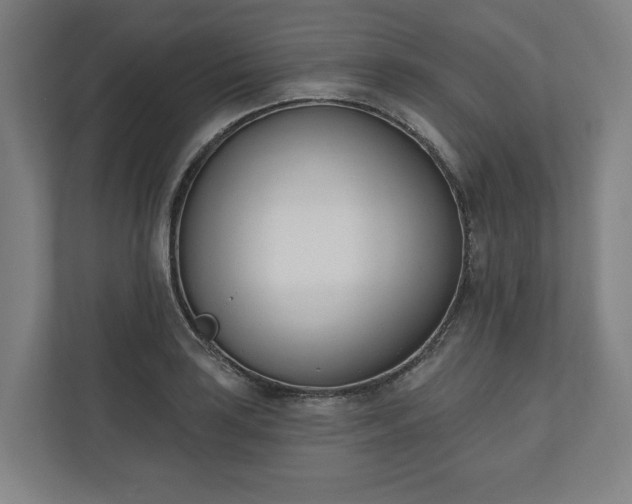 X0000110741035200906221024