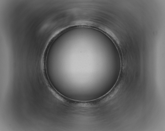X0000110741037200906221024