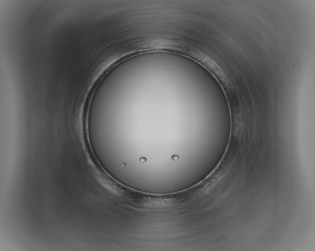 X0000110741039200906221024