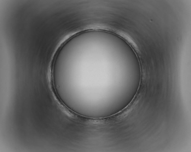 X0000110741040200906221024