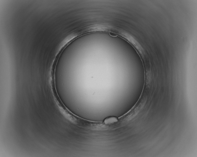 X0000110741042200906221024