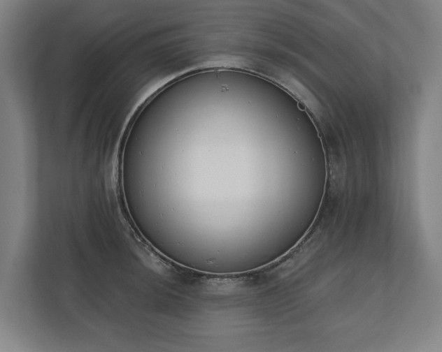 X0000110741044200906221025