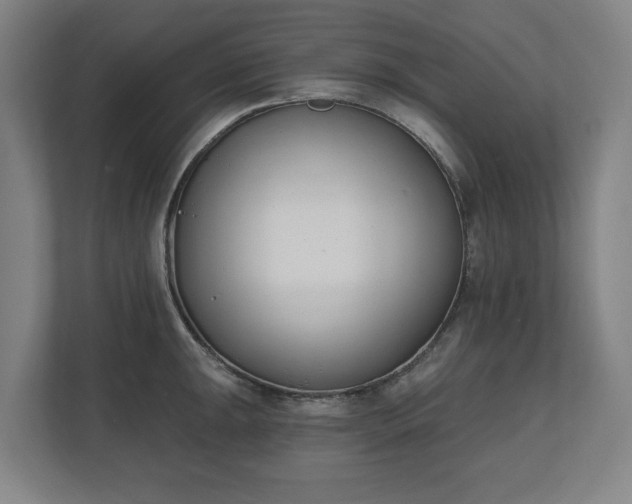 X0000110741047200906221025