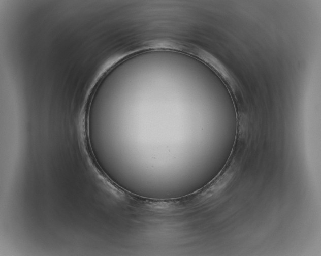 X0000110741048200906221025