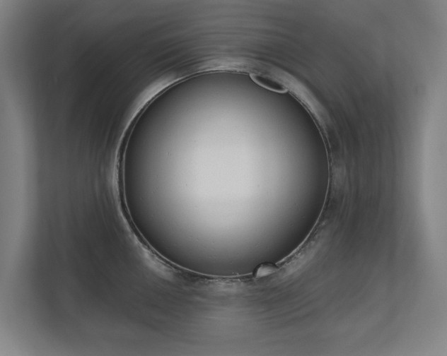 X0000110741050200906221025