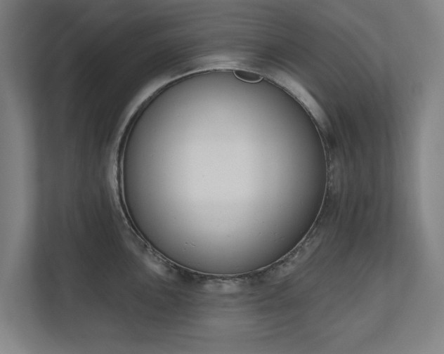 X0000110741051200906221025