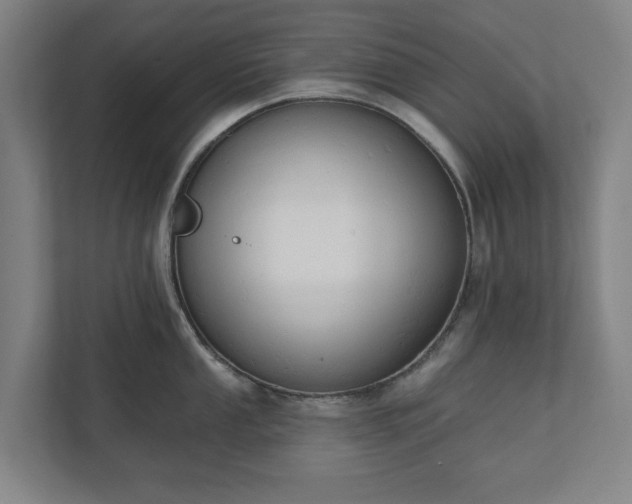 X0000110741053200906221025
