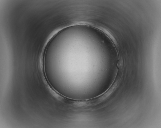 X0000110741054200906221025