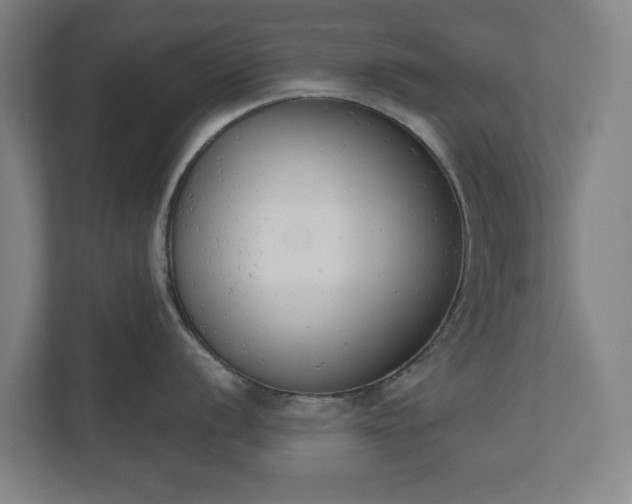 X0000110741056200906221025