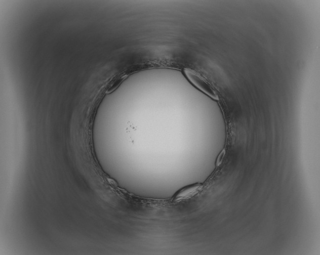 X0000110741057200906221024