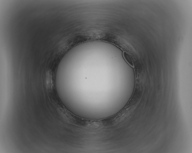 X0000110741058200906221024