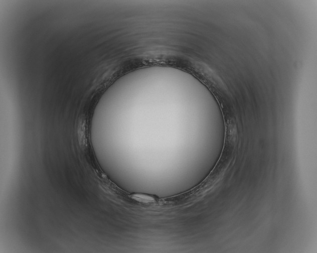 X0000110741060200906221024