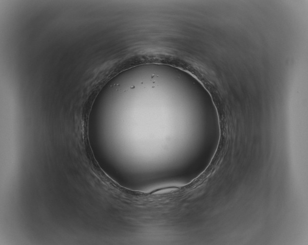 X0000110741061200906221024