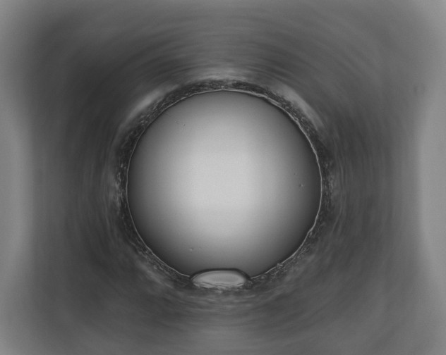 X0000110741064200906221024
