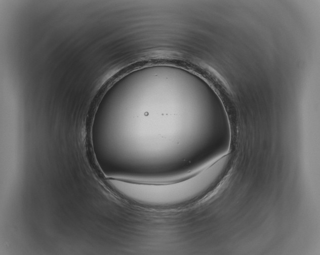 X0000110741065200906221024