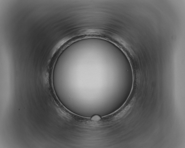 X0000110741066200906221024