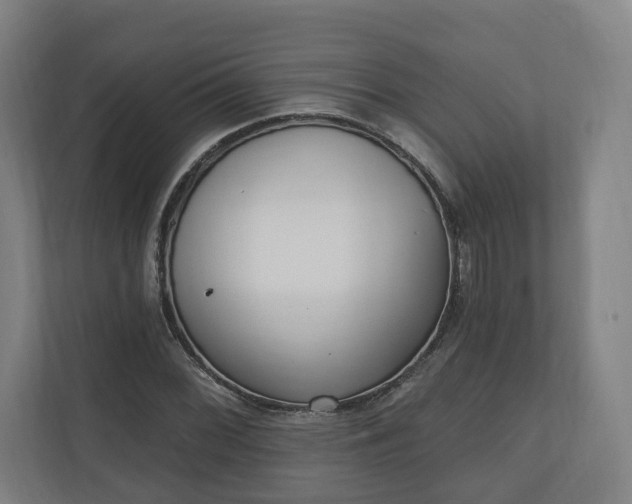 X0000110741068200906221024