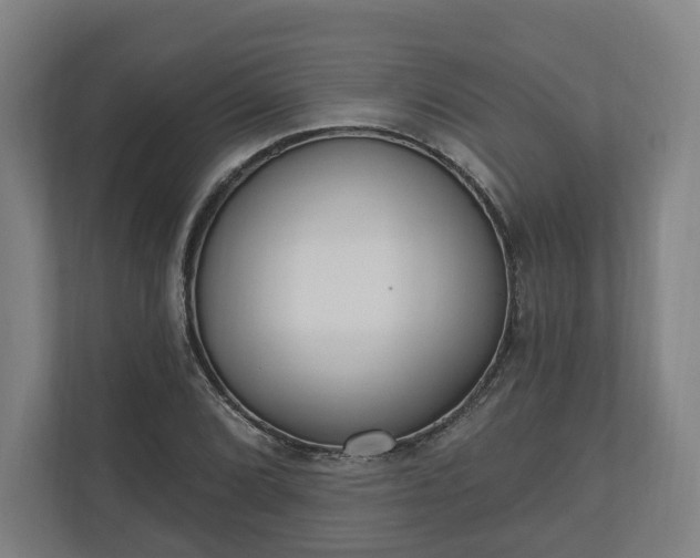 X0000110741072200906221024