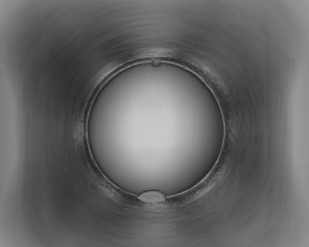 X0000110741073200906221024
