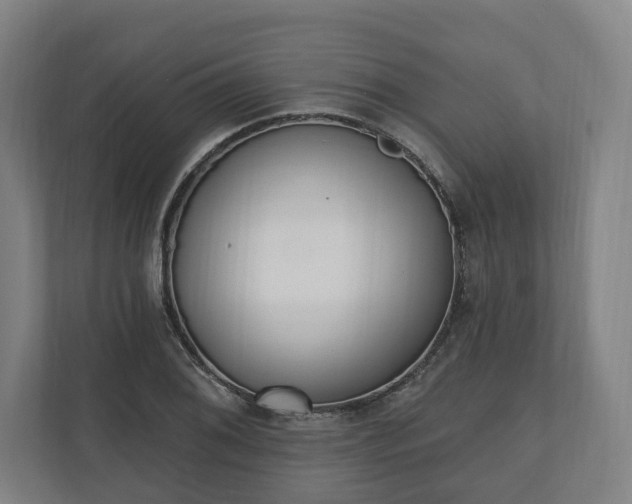 X0000110741076200906221024