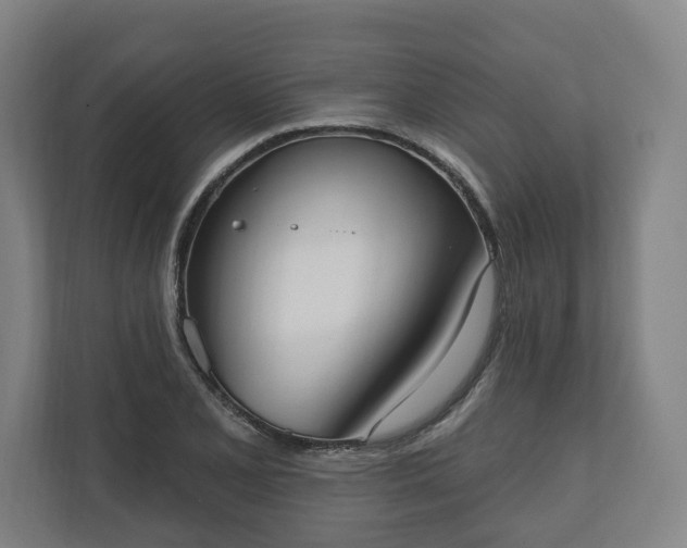 X0000110741077200906221024