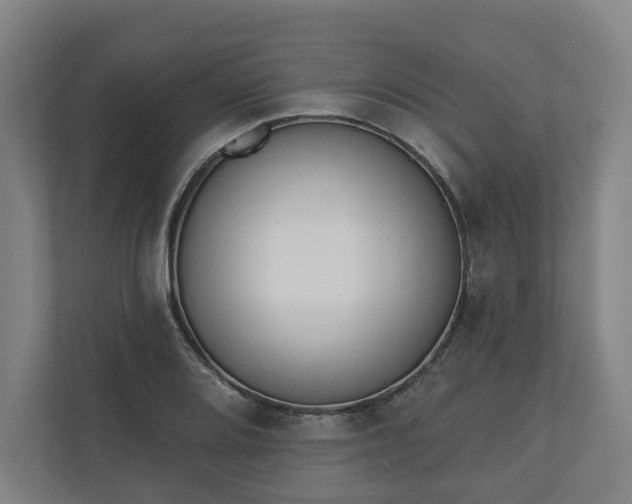 X0000110741080200906221024