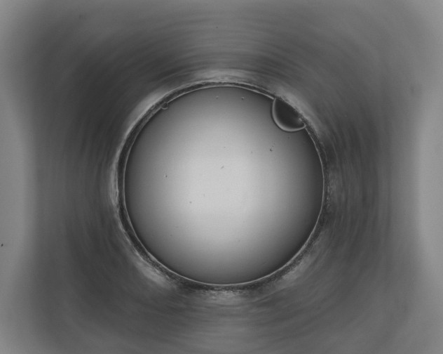X0000110741082200906221024