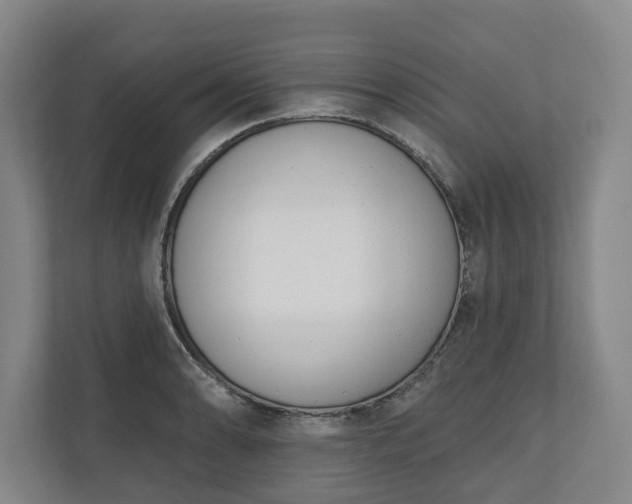 X0000110741086200906221024