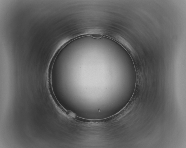X0000110741087200906221024
