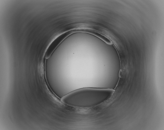 X0000110741092200906221024