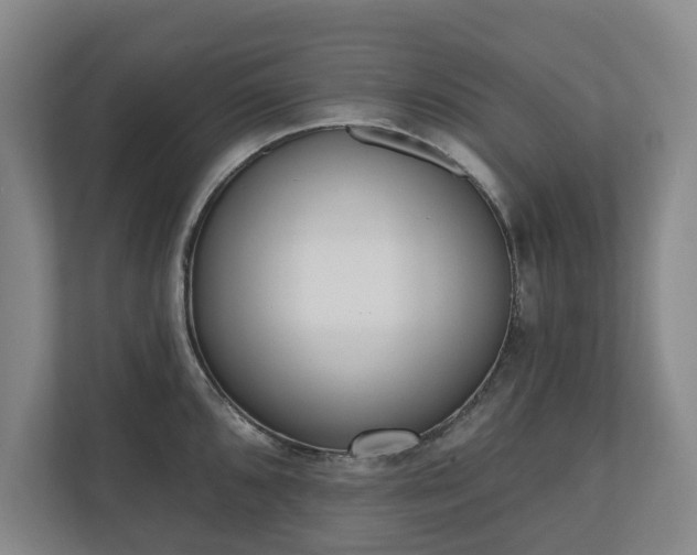 X0000110741096200906221024