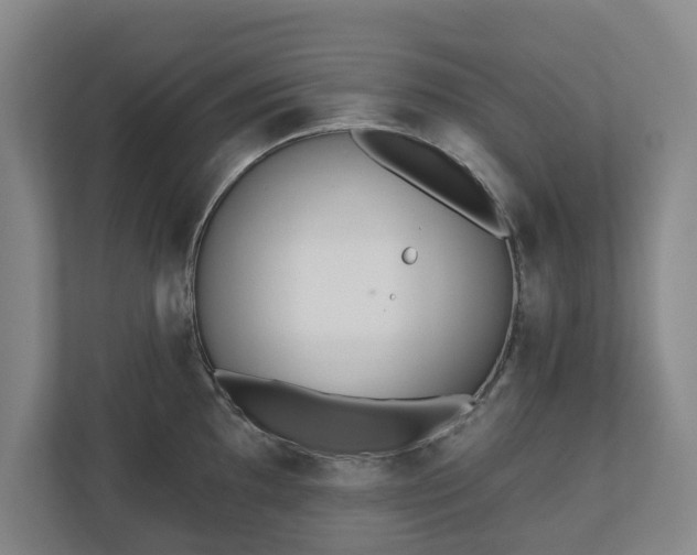 X0000110741097200906221024
