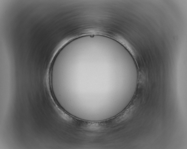 X0000110741098200906221024