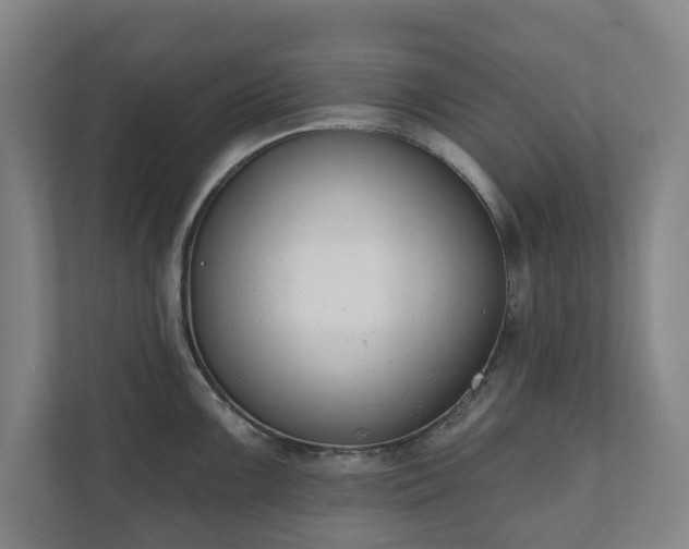 X0000110741099200906221024