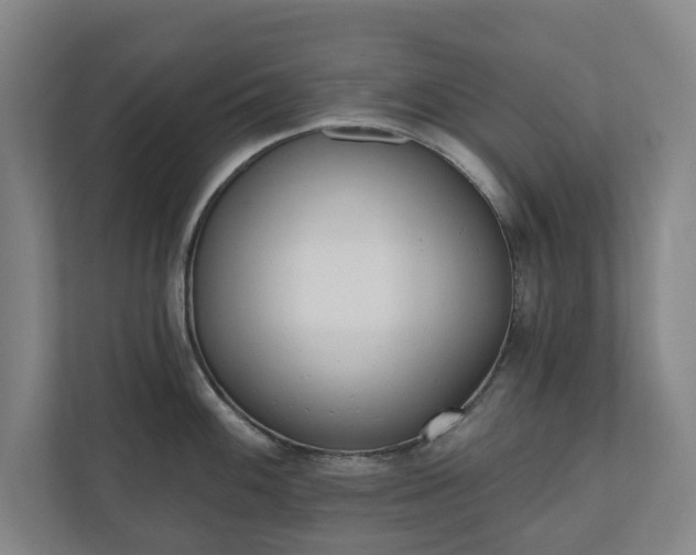 X0000110741100200906221023