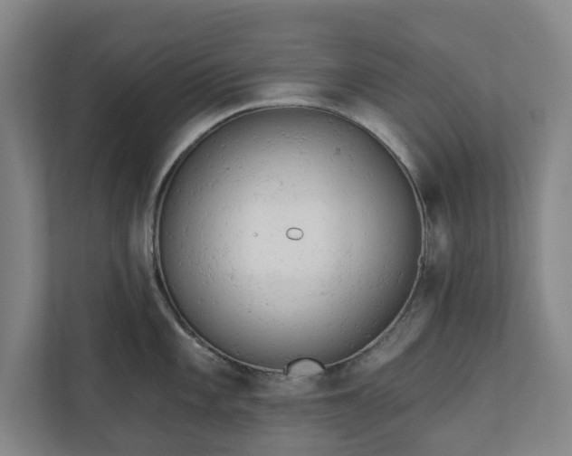 X0000110741101200906221023