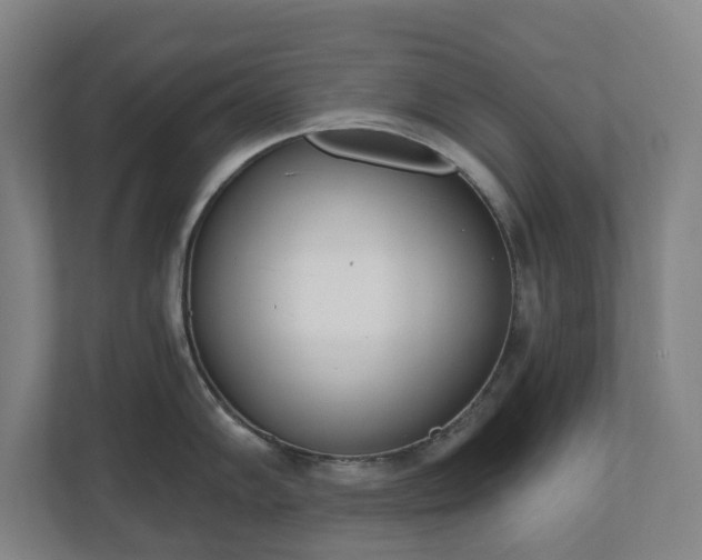 X0000110741102200906221023