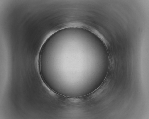 X0000110741103200906221023