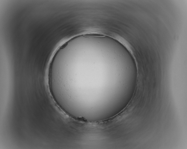 X0000110741104200906221023