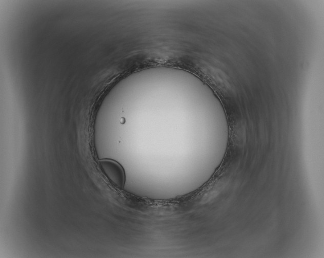 X0000110741105200906221023