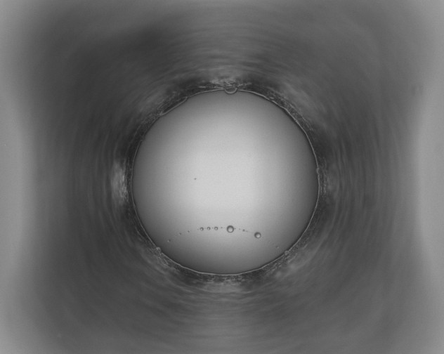 X0000110741106200906221023