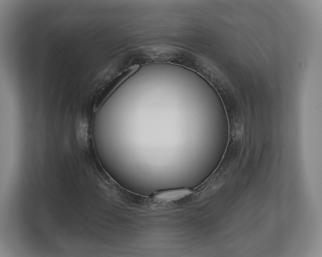 X0000110741108200906221023