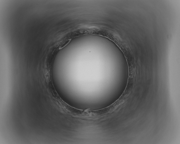 X0000110741109200906221023